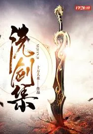 《洗剑集》小说封面