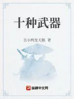 《十种武器》小说封面