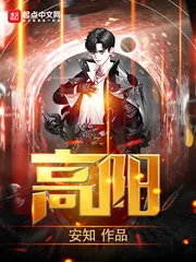 《高阳》小说封面