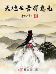 《天地生吾有意无》小说封面