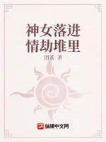 《神女落进情劫堆里》小说封面