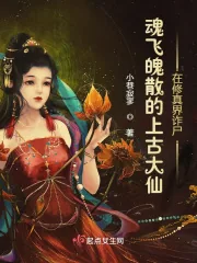 《魂飞魄散的上古大仙在修真界诈尸》小说封面