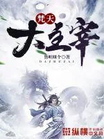 《梵天大主宰》小说封面