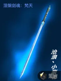 《涅槃剑魂-梵天》小说封面
