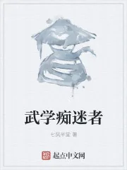 《武学痴迷者》小说封面