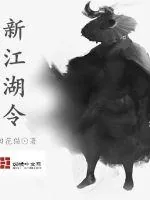 《新江湖令》小说封面