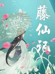 《藤仙记》小说封面