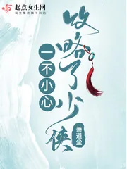 《一不小心攻略了少侠》小说封面