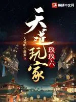 《天道玩家玖玖六》小说封面