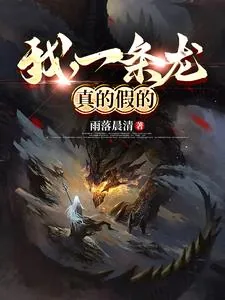 《我,一条龙,真的假的》小说封面