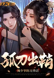 《孤刀出鞘》小说封面
