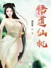 《悟道仙机》小说封面