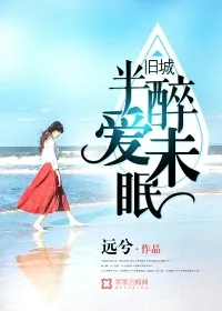 《旧城半醉爱未眠》小说封面