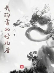 《我的靠山好几座》小说封面