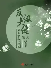 《穿成炮灰后我和反派大佬BE了》小说封面