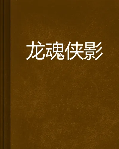 《龙魂侠影》小说封面