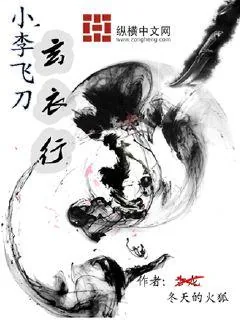 《小李飞刀玄衣行》小说封面