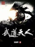 《武道天人》小说封面