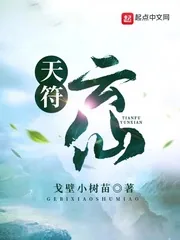 《天符云仙》小说封面