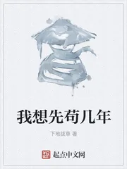 《我想先苟几年》小说封面
