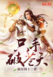 《只手破苍天》小说封面