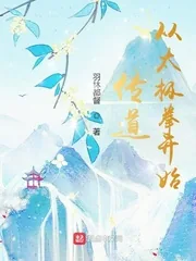 《传道从太极拳开始》小说封面