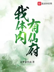 《我体内有仙府》小说封面