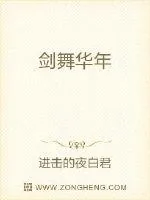 《剑舞华年》小说封面