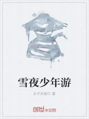 《雪夜少年游》小说封面