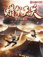 《蜡祭天关》小说封面