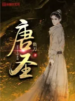 《唐圣》小说封面