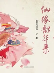 《仙缘韶华录》小说封面