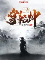 《一剑掌乾坤》小说封面