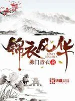 《锦衣风华》小说封面