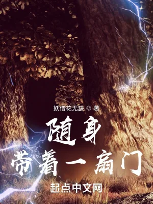 《随身带着一扇门》小说封面