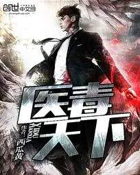 《医毒天下》小说封面