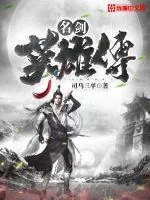 《名剑英雄传》小说封面