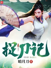 《捉刀记》小说封面