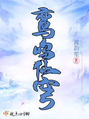 《鸾鸣仙穹》小说封面