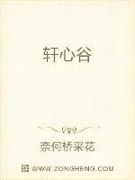《轩心谷》小说封面