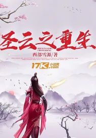 《圣云之重生》小说封面
