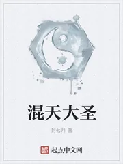 《混天大圣》小说封面
