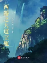 《西游之大道宝瓶》小说封面