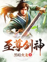 《林辰薛灵韵》小说封面