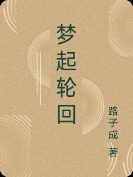 《梦起轮回》小说封面