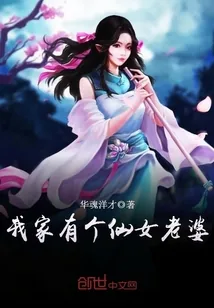 《我家有个仙女老婆》小说封面