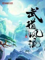 《武道风流》小说封面