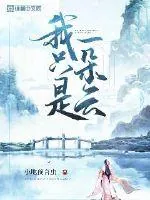 《我只是一朵云》小说封面