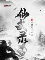 《仙武录》小说封面