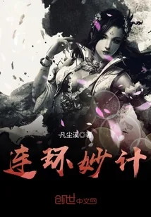 《连环妙计》小说封面
